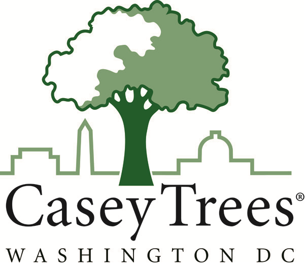 Casey Trees logo